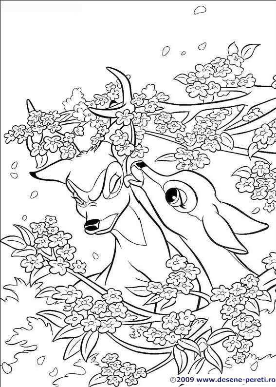 bambi desene colorat